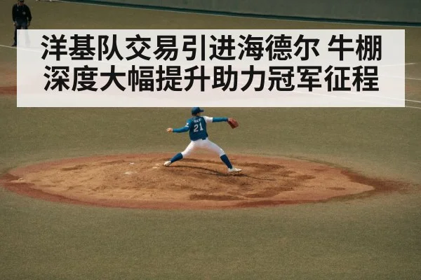 洋基队交易引进海德尔 牛棚深度大幅提升助力冠军征程